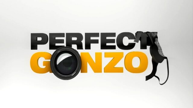 PerfectGonzo